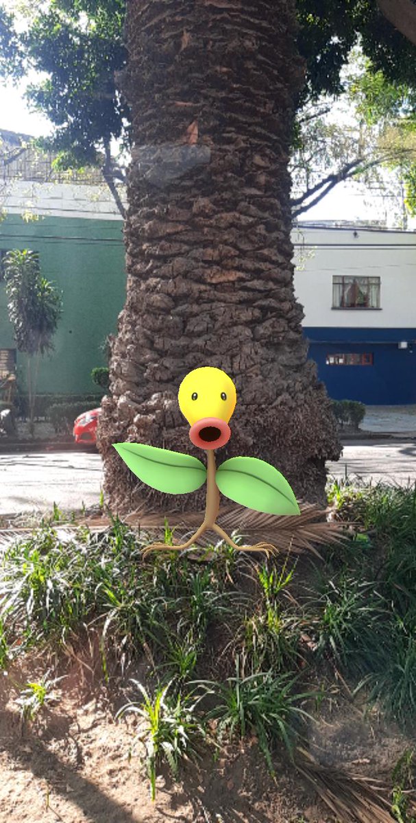 Anahi_Lovera's tweet image. :3 #InstantGO