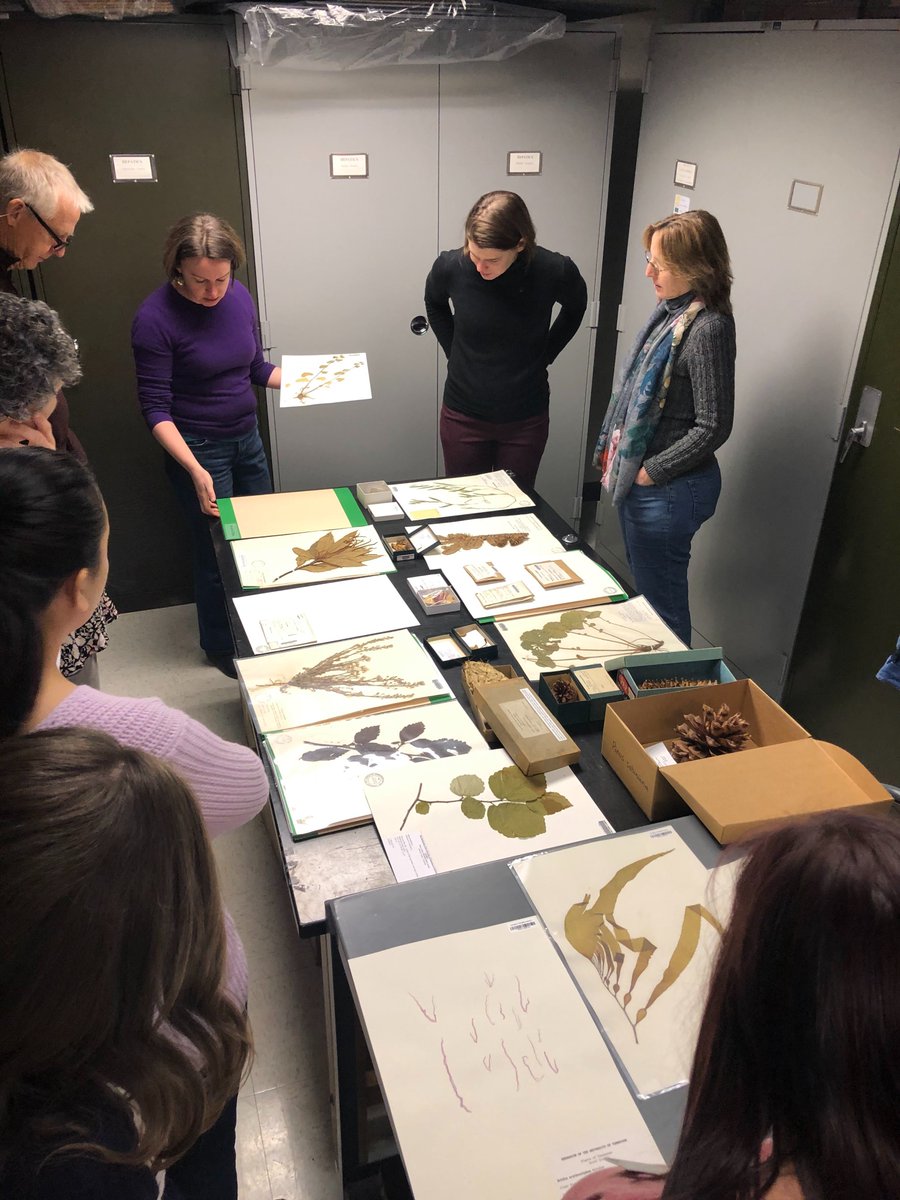 McClungMuseum's tweet photo. We've had a busy day at the McClung today!
Today our staff toured the @UTKHerbarium, the Etnier Ichthyological Collection (UTEIC). and the @TheEwingGallery in anticipation of their new exhibition, "Unsustainable"!
So many great things happening at @UTKnoxville π https://t.co/ZDETfXdFnY