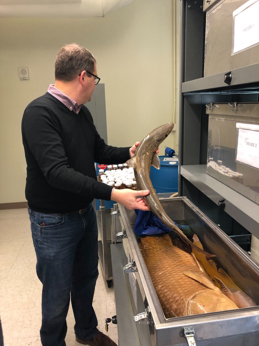 McClungMuseum's tweet photo. We've had a busy day at the McClung today!
Today our staff toured the @UTKHerbarium, the Etnier Ichthyological Collection (UTEIC). and the @TheEwingGallery in anticipation of their new exhibition, "Unsustainable"!
So many great things happening at @UTKnoxville π https://t.co/ZDETfXdFnY
