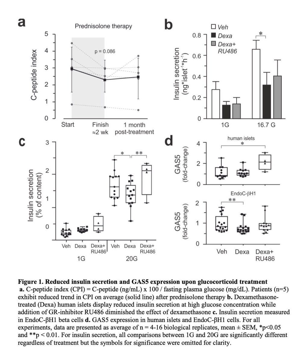 MolMetab's tweet photo. #glucocorticoid induces human #betacell dysfunction and involves the #riborepressor #GAS5 #lincRNA
#pancreas #Islet #T2D #diabetes
https://t.co/XcHVg5EaIJ https://t.co/qRKHqZUe3f