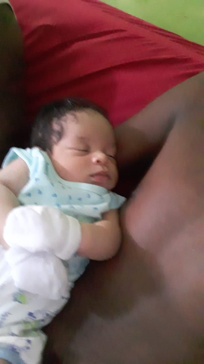 SrgioFa31941001's tweet photo. neném mais novo da família #pirmo #kalebe❤️❤️❤️❤️❤️❤️ https://t.co/HFU8Y0Riy0