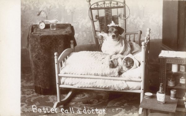 mostlyatsea's tweet photo. Whenever I'm sad I remind myself that a family in the early 1900s dressed up their dog named Tootsie. #dogs https://t.co/paqeTS33zd