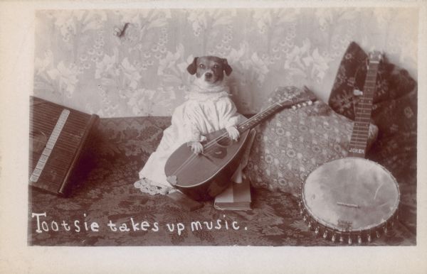 mostlyatsea's tweet photo. Whenever I'm sad I remind myself that a family in the early 1900s dressed up their dog named Tootsie. #dogs https://t.co/paqeTS33zd