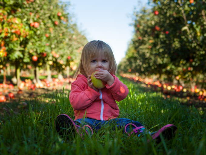 kidscreen's tweet image. Something to chew on: Can #CookingShows help kids eat healthier? A new study from @JNEBonline says yes.  kidscreen.com/2020/01/09/foo…