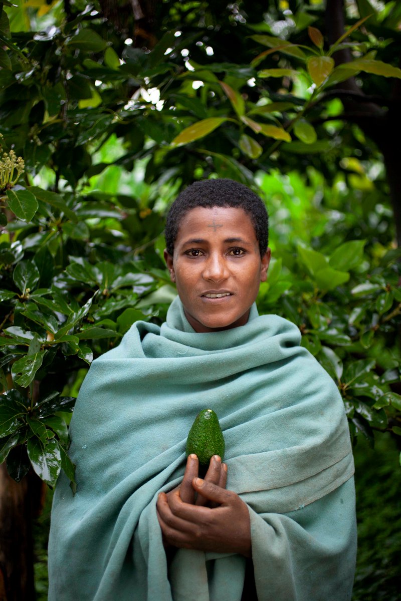 FOLUCoalition's tweet photo. ETHIOPIA - A new nature-based food and land use economy by @Agnes_Kalibata, the UN Secretary-General's Special Envoy for the 2021 Food Systems Summit and a FOLU Ambassador. In this piece, she draws on the story of Balaynesh, one of many farmers benefiting: https://t.co/S7z0QsNquM https://t.co/xF8084ldGZ