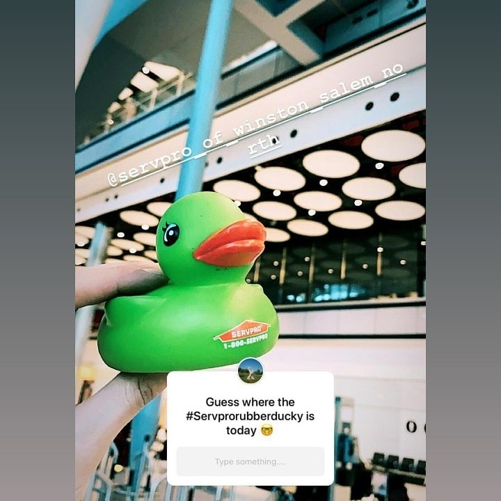 servpro_wsnorth's tweet photo. While we're here in #mountairy , can you guess where the #servproducky is today?
Here's a clue.
They're across the pond.
.
.
.
#nccheck #servpro_wsnorth #servprolife #servpro #wheresducky #wsnc #dtws #dtwsnc #myws #camelcity #twincity https://t.co/fGkP15NXNk