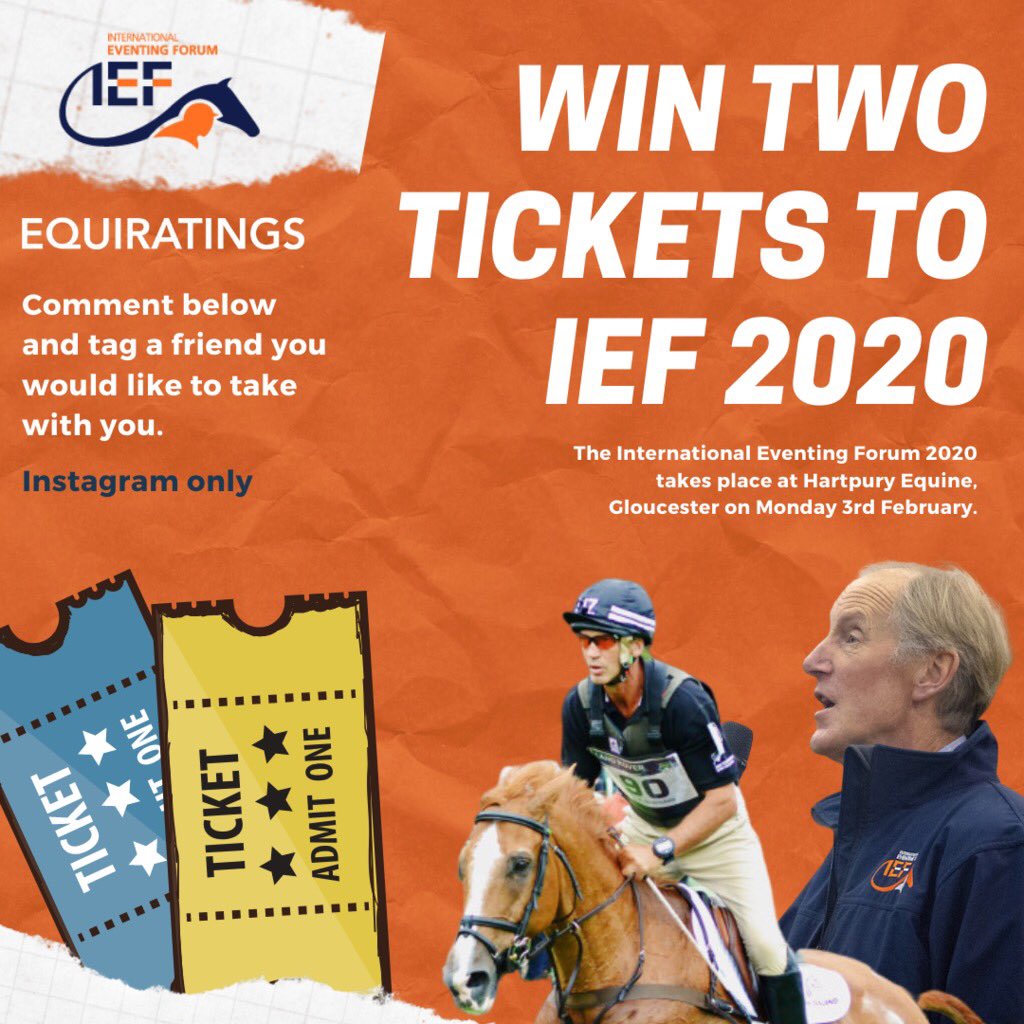 EquiRatings tweet media