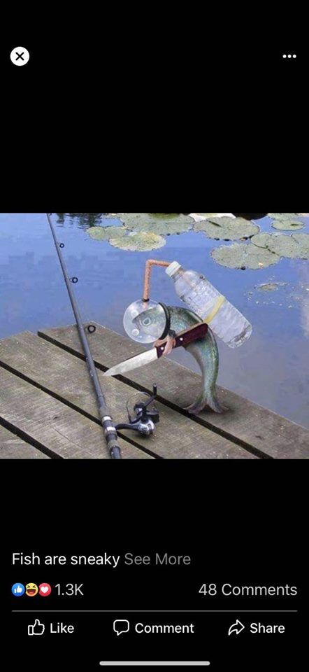 Here fishy fishy, #GoFishing
Shop Now! geartogetout.com/pages/go-fishi…