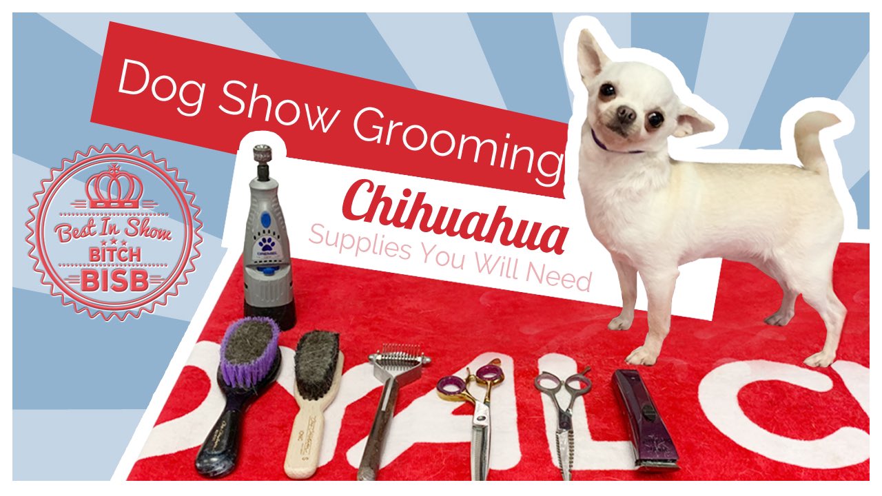 Best in sale show grooming
