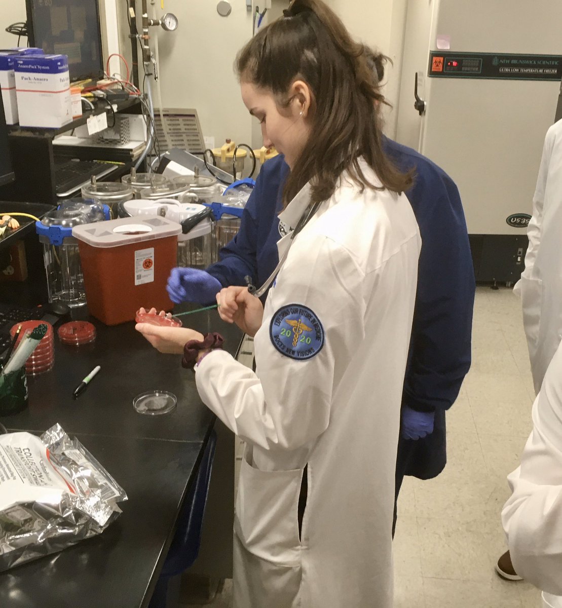 The second group of UHS students had the opportunity to spend time in various parts of lab today. Some highlights were plating bacteria, examining the brain, & flow cytometry. @BtNewVisions @CVCSDWarriors @Windsor_CSD #thisismyclassroom