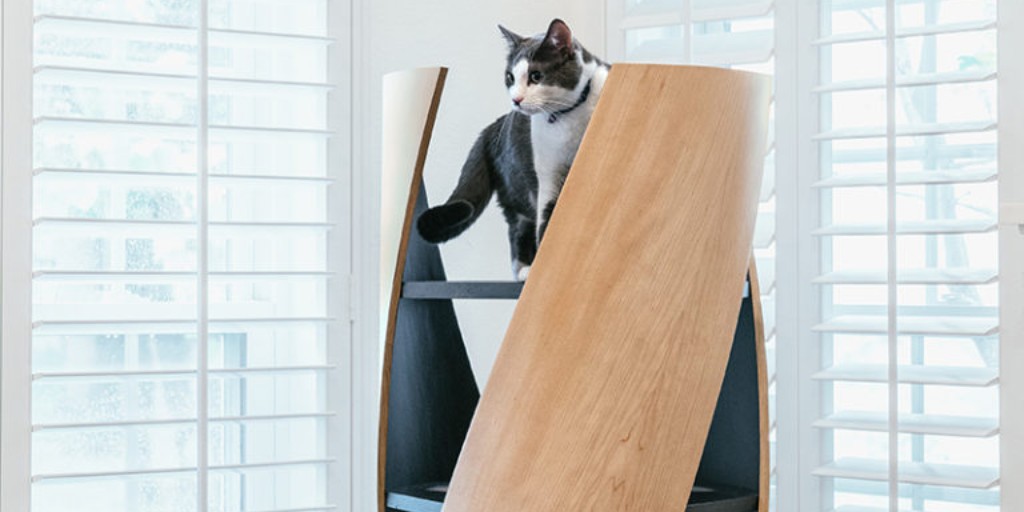 vccusa's tweet photo. Our team, in partnership with @OMNIPLAN_Arch, won the "Cat Condo Award" at @aiadallas/ @TEXOAssociation's #DallasBarknBuild! The proceeds went to the @spcaoftexas. Thank you to those that voted and purchased our Felix Helix! #VCCcares #ExcellenceInConstruction https://t.co/5nkf4avrT5