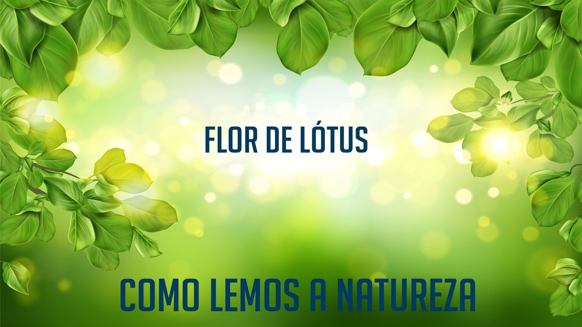 AtitudeTerra's tweet photo. Vídeo novo de uma nova série em nosso canal do Youtube. Como a #natureza é lida por cada #cultura? O que leva o homem a interpretar magicamente a natureza? https://t.co/AribZQjNKx https://t.co/ERTEtUeMHa