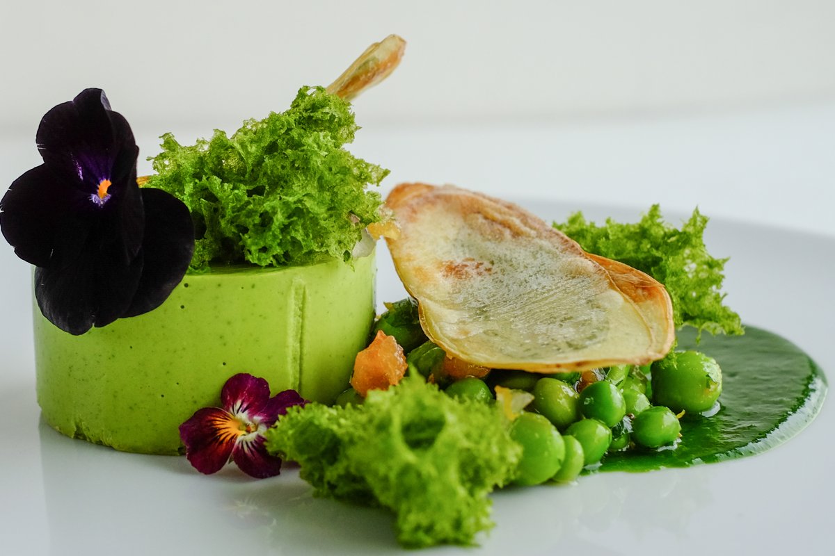 EAT YOUR GREENS // A starter of Whipped pea &amp; mint Pannacotta with Jersey Royal crisps, Wild Garlic and Broad Bean vierge - made by the Aynhoe Kitchen #aynhoepark #theaynhoekitchen #green #starter #vegan #privatehome #countryhouse #exclusivehire #party #dinnerparty #food