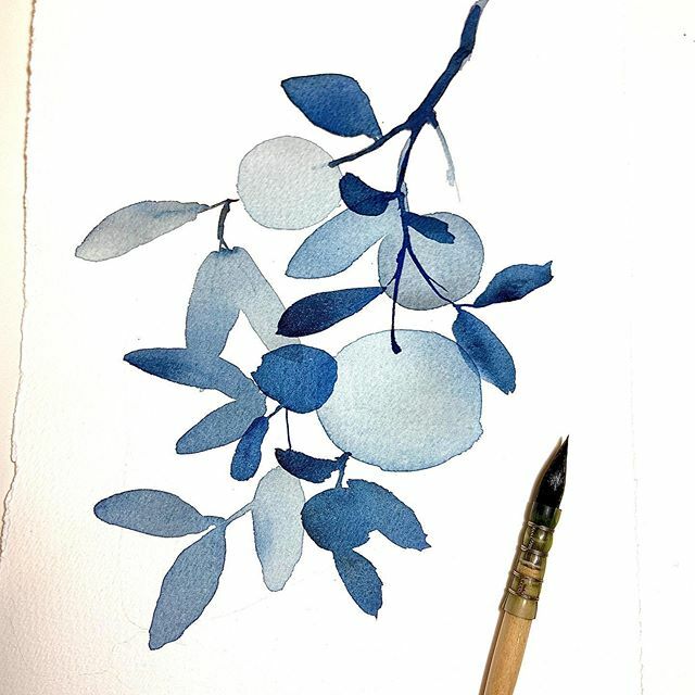 Little ditty in indigo, inspired by the oranges on @frolicblog this week 🍊

#inspiredbynature #greenthumb #oranges #joyspotting #illustratorsoninstagram bit.ly/37UH11j