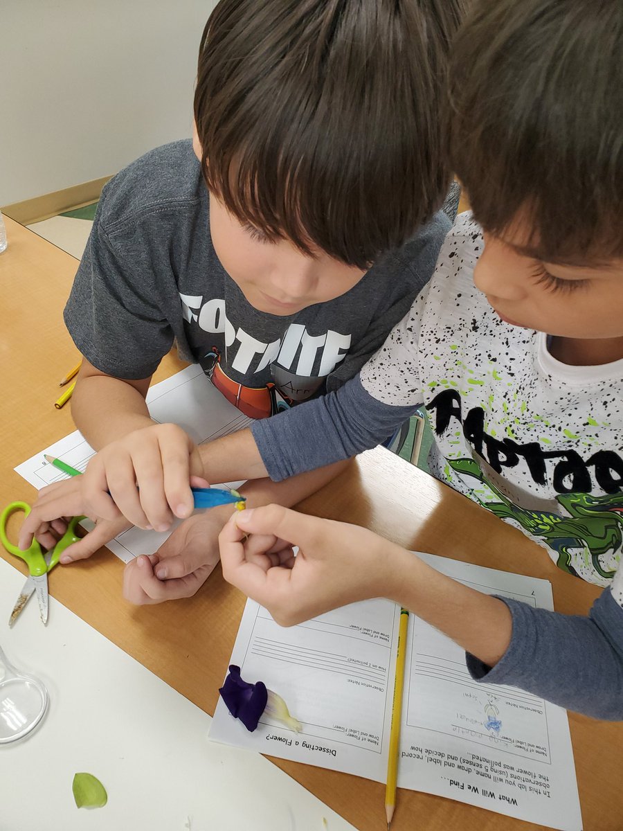 MsFoley01's tweet photo. Botanical Gardens Field Trip! Budding Botanists! #partsofaflower #seeddispersal #planthabitats #makingobservations @NPESharks @collierschools @NaplesBotanical https://t.co/6RaqETM0Z0
