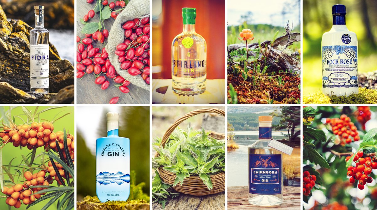 Gin_Cooperative's tweet photo. Discover the history & taste of these #BeautifulBotanicals & hear from the #ScottishGin makers how they came to discover these wonderful #botanicals & why they make their #gin so special - https://t.co/D2Aku3D7ST
@FidraGin @KinraraDistil @StirlingGin @CairngormGin @RockRoseGin https://t.co/ICnyr5WJd0