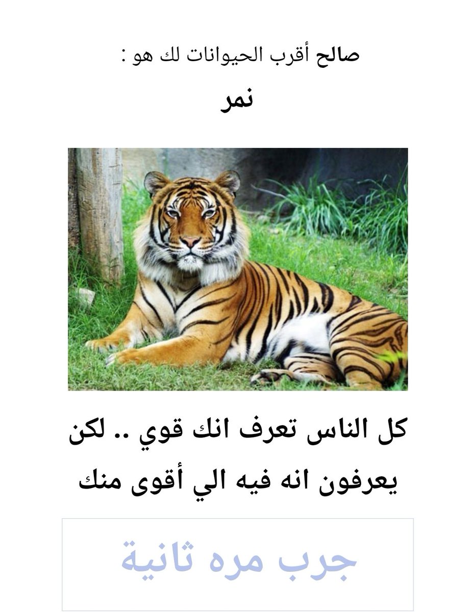 ALNasserclup2's tweet photo. @iNezc_v @IIZNCI يا زيني متوحش https://t.co/9LpwBvxjhG