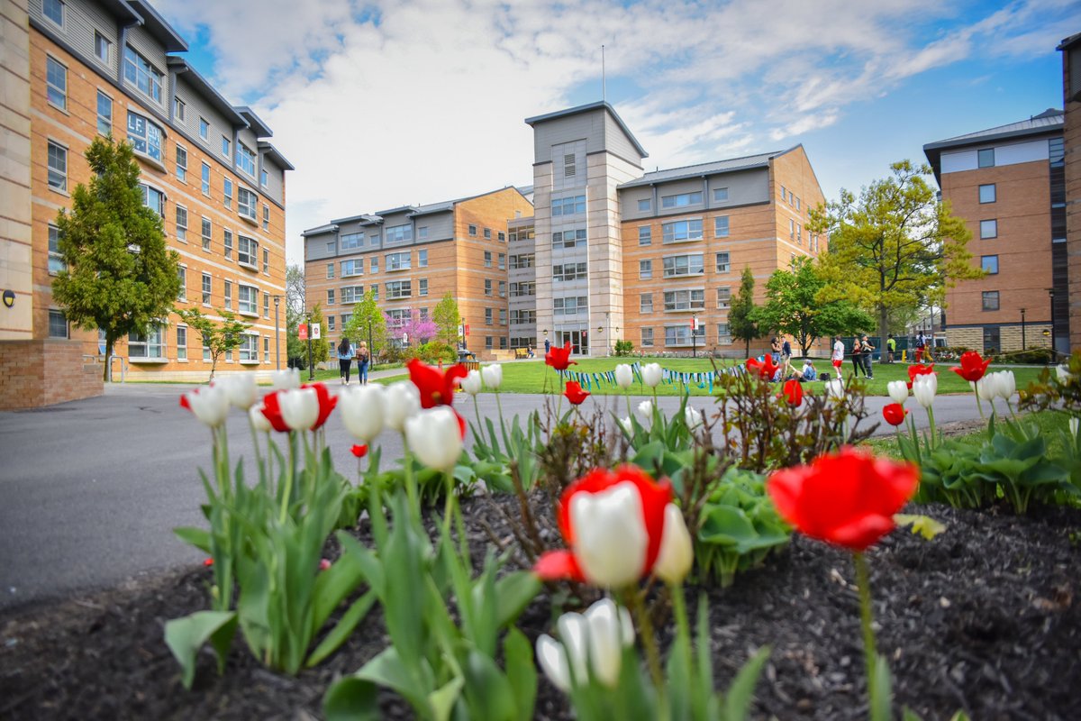 StJohnsResLife's tweet photo. Looking to join university housing for Fall 2020? Here are the deadlines to submit a deposit &amp; application:

Undergrad/Grad Dep.: 3/6/20
Undergrad/Grad App: 3/13/20
Law App: 4/15/20 (Priority Date is 4/1/20)

For more info visit https://t.co/OaLCJ39pM0 😁 https://t.co/pUOqfR3GZn