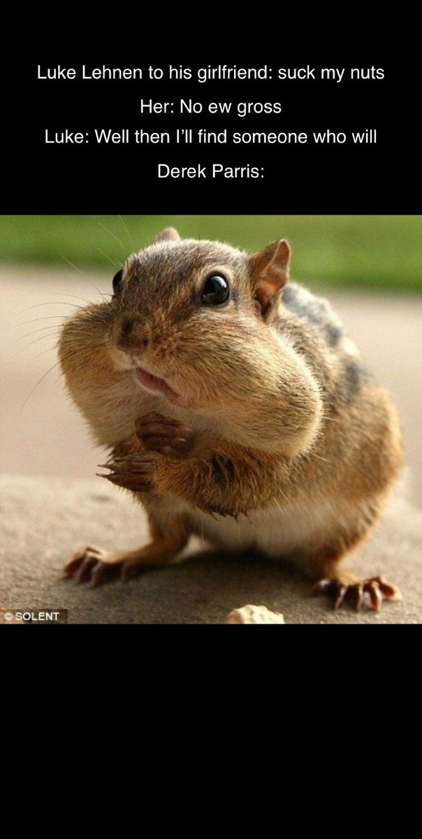 Barstool SHG tweet media