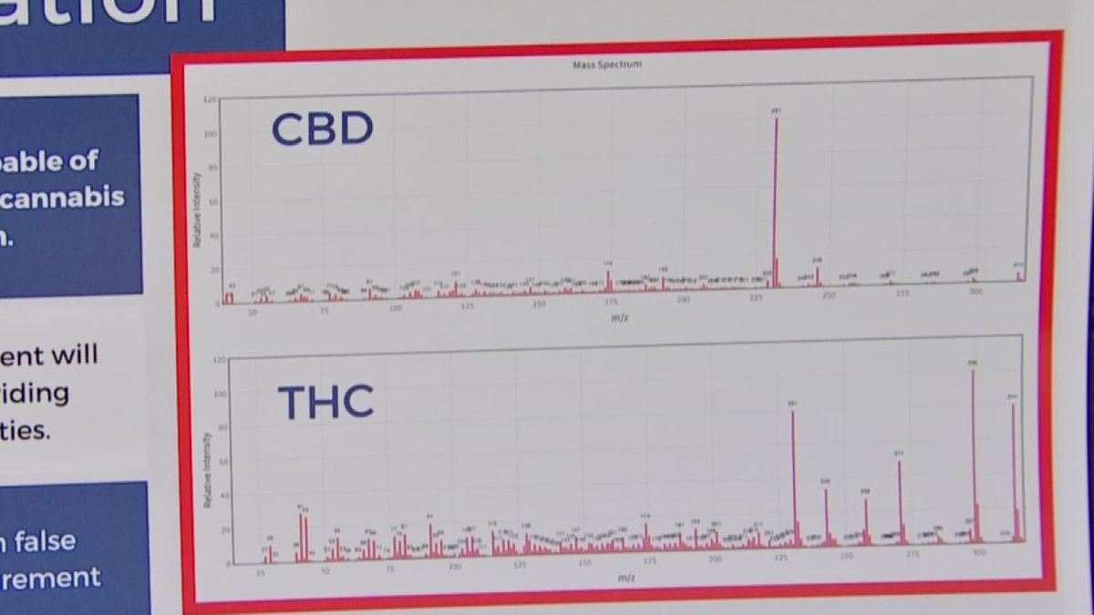 inspect_ir's tweet photo. Can your drug test tell the difference between CBD and THC? Ours can.
https://t.co/ENdY4AlkBw
#InspectIRSystems #drugbreathalyzer #InspectIR #THC #CBD https://t.co/blPkw7MbMB