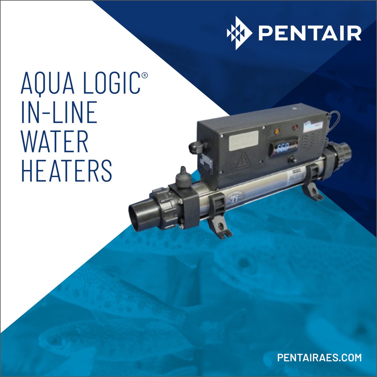 Check out our featured product for the week: Aqua Logic® In-Line Water Heaters. Perfect for a number of #aquaculture applications!

Read more: bit.ly/2ZZbngb