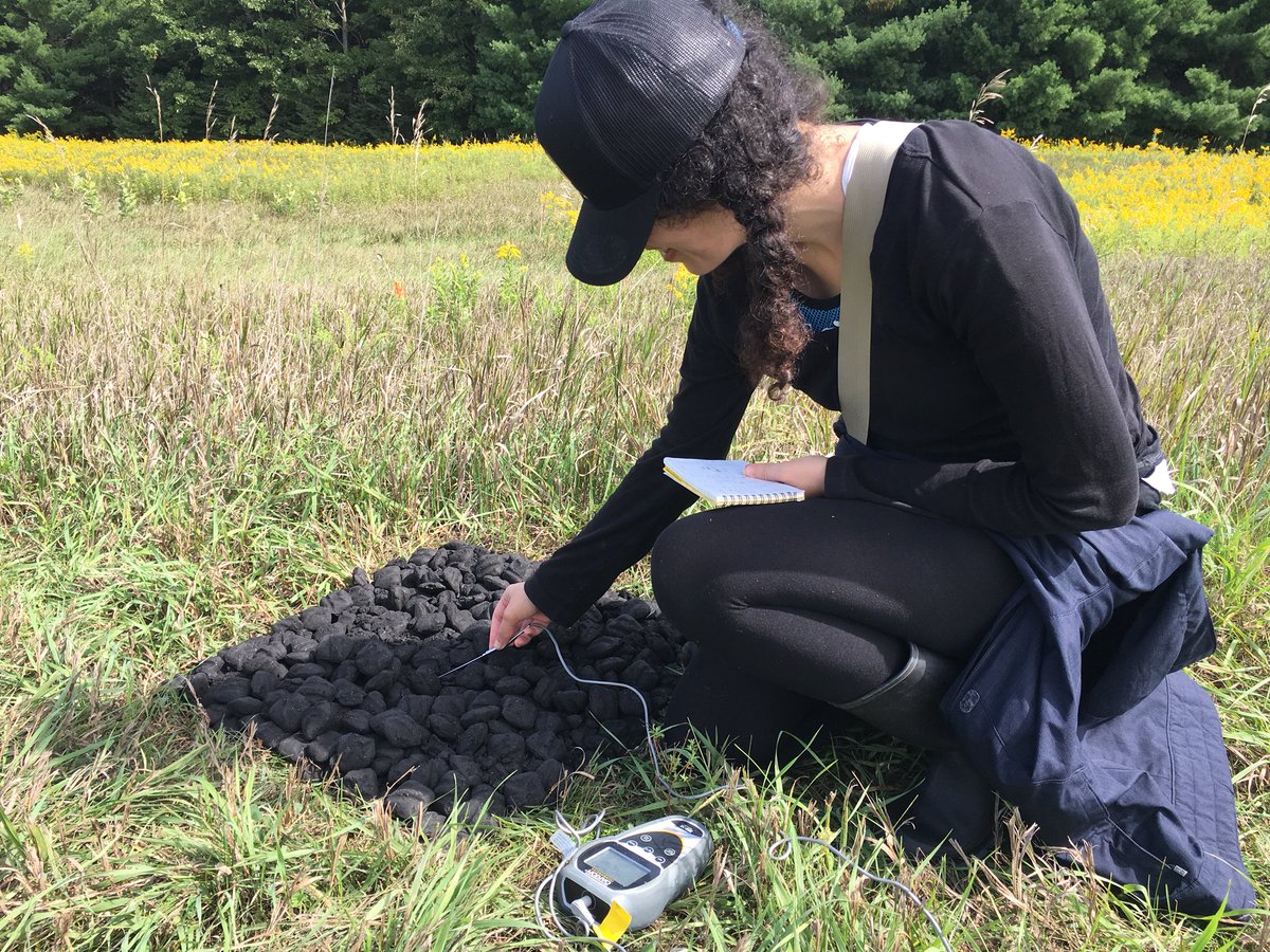 TTSW_GWF's tweet photo. It is very difficult to accept the loss of our friend and colleague Mari. She was a thoughtful, genuine person and a passionate researcher who will be sincerely missed.  Below are some photos from her work at Sunfish Lake. Join us tomorrow in the EV1 Courtyard at 3pm if you can. https://t.co/vgLb72k0Aj