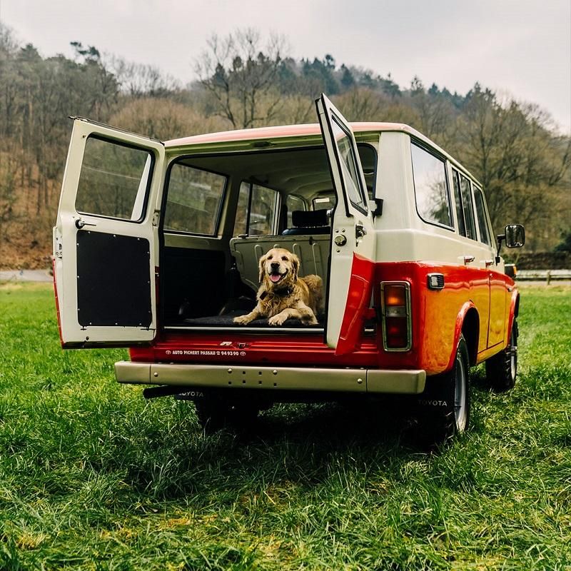 DanvilleToyota's tweet photo. When your best bud wants to go for a ride #Toyota #TBT #LandCruiser #DVAT #pupapproved #LetsGoPlaces #DanRiverRegion 🚙 https://t.co/WvmzLXHxPA