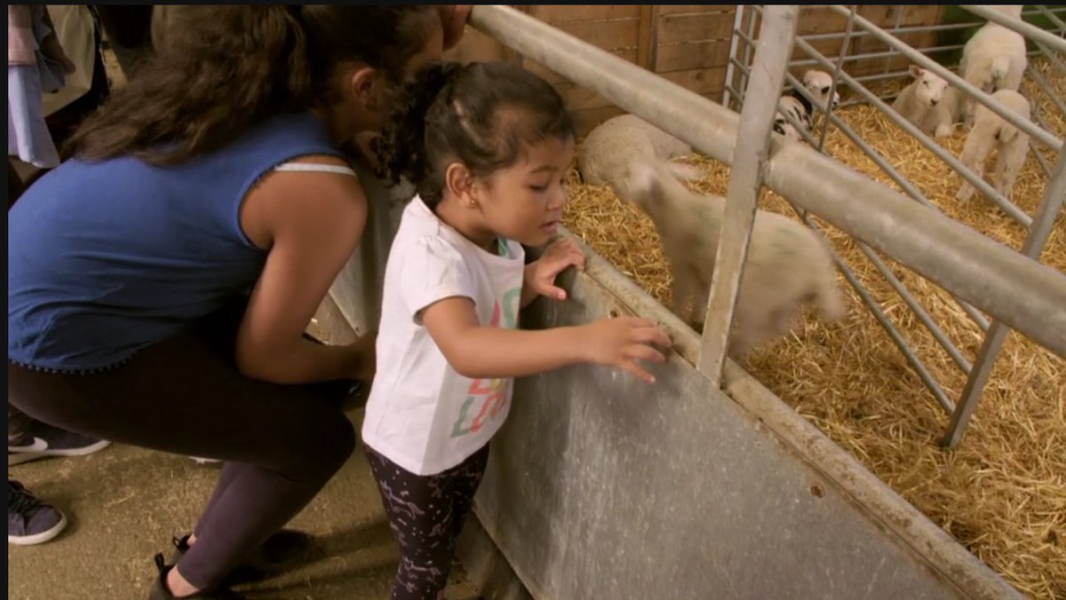 Did any eagle-eyed viewers spot us on Channel 4's Meat The Family last night?
#meatthefamily #familydayout #Bucks