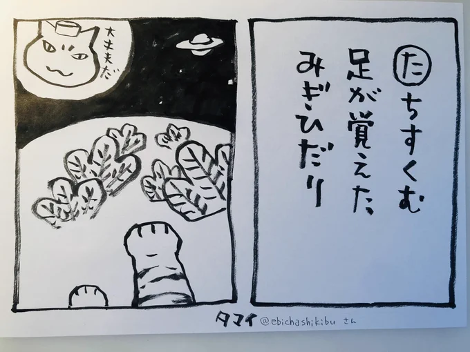 おはようございますカルタですタマイさんが作ってくれたお言葉にさし絵をつけました大丈夫。今日ご無事で#夜廻り猫  