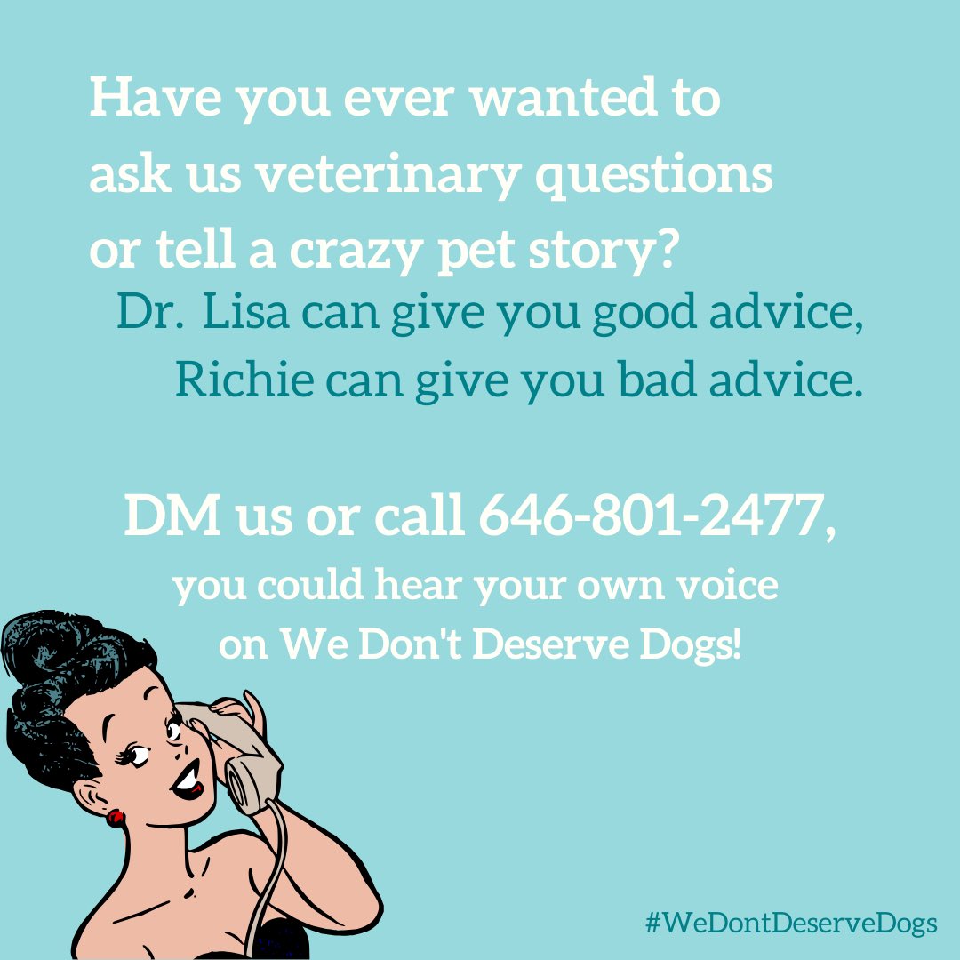 DM or call your questions + stories and we might pick yours to answer on the podcast!
#WeDontDeserveDogs