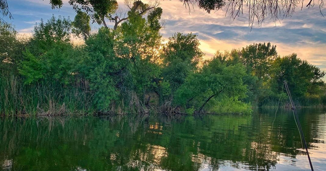 NatwideRVglass's tweet photo. Patagonia Lake State Park's lush shores are another world of paradise! Watch the sun go down from beach and take in the view. https://t.co/2xqfjIejWC
📸 : @ natelawsonphotos https://t.co/ydM7HZRzRb #RVTRAVEL #USA #NWRVGlass #RVGLASS #RVLIFE #RVArizona