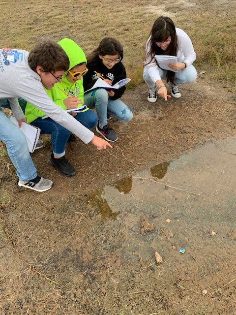 alvin_jh's tweet image. Ms. Bell’s 6th grade science classes conducted an outdoor lab to learn about factors in the environment.