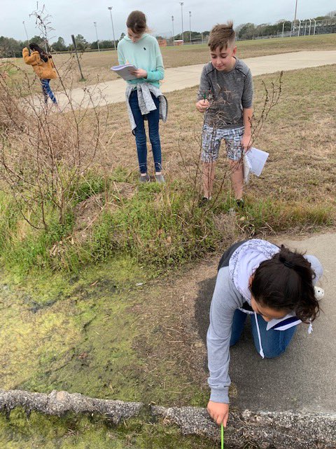 alvin_jh's tweet image. Ms. Bell’s 6th grade science classes conducted an outdoor lab to learn about factors in the environment.
