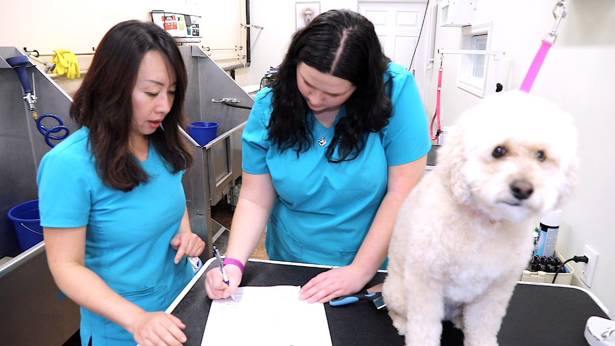 SCDSB_Schools's tweet image. SCDSB staff!📢 This week&apos;s #SCDSBScoop is now live! Join us in episode 17 where we highlight a &apos;paw&apos;sitive story of a client&apos;s journey through the Career Centre! 🐾 @CareerCentreSC 

📽️Watch today&apos;s episode now:
bit.ly/36BQiLu