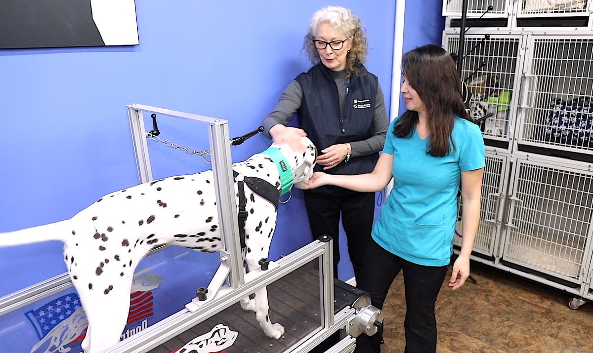 SCDSB_Schools's tweet image. SCDSB staff!📢 This week&apos;s #SCDSBScoop is now live! Join us in episode 17 where we highlight a &apos;paw&apos;sitive story of a client&apos;s journey through the Career Centre! 🐾 @CareerCentreSC 

📽️Watch today&apos;s episode now:
bit.ly/36BQiLu