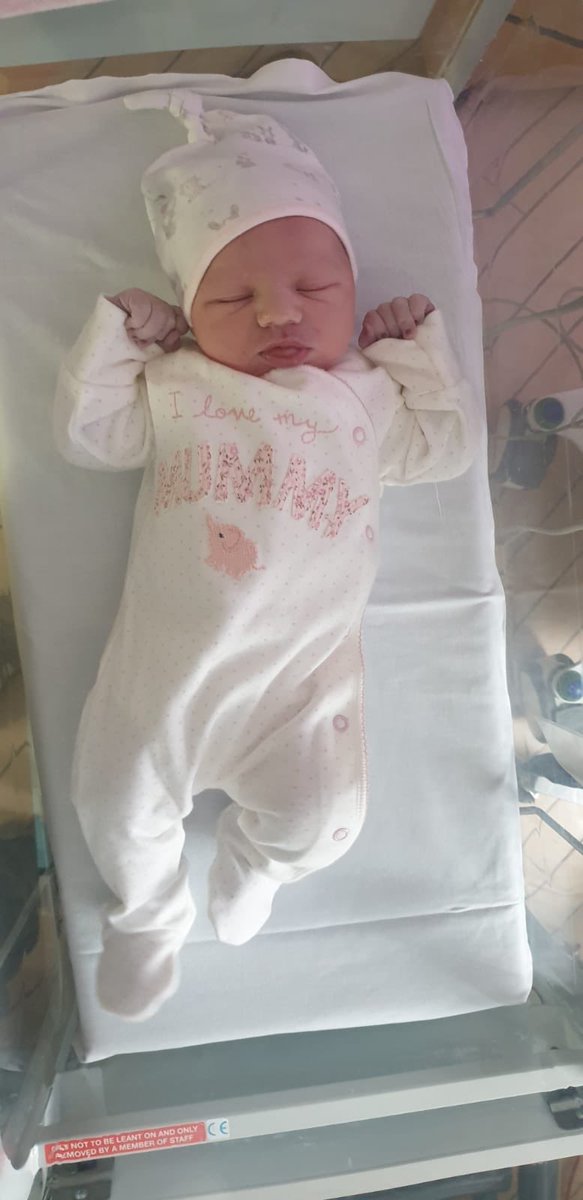 lauren 🖤 tweet media