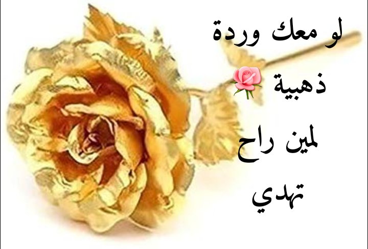 SamahHaboosh's tweet photo. https://t.co/iZwo5k0D8Z
