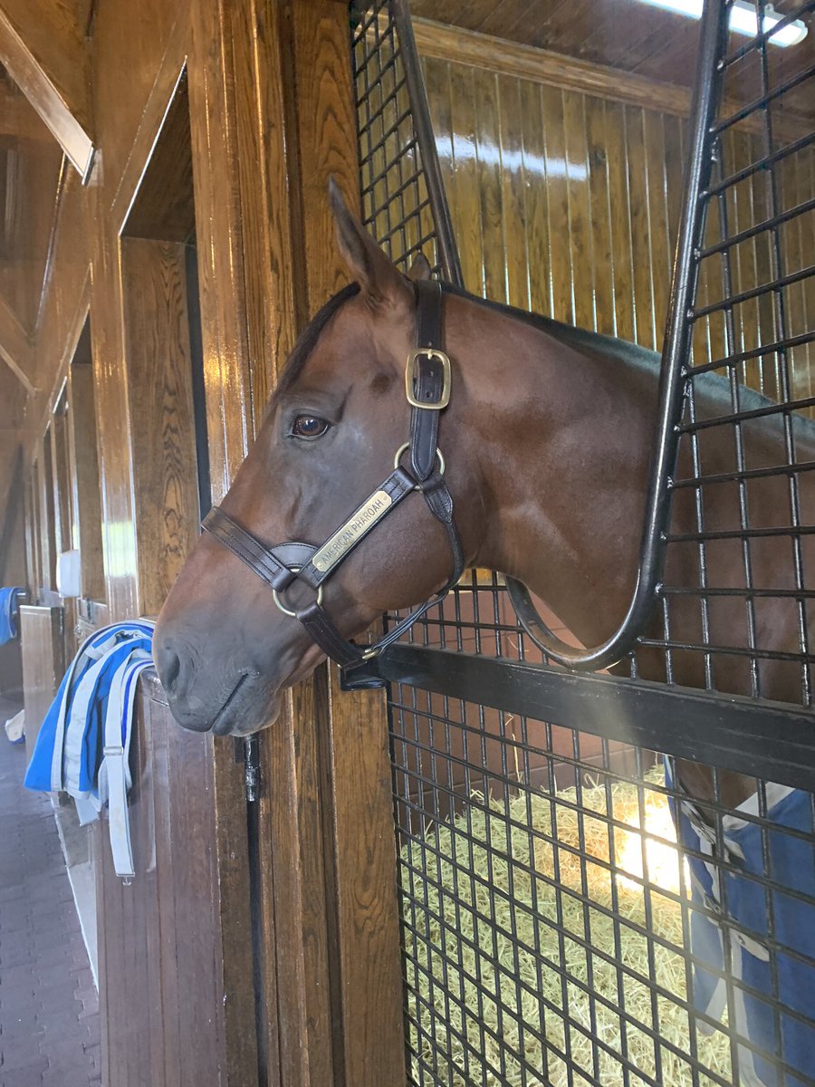 One of those afternoons where I needed to pinch myself 💫 .... Not everyday you get to meet 2 Triple Crown winners #AmericanPharoah #Justify