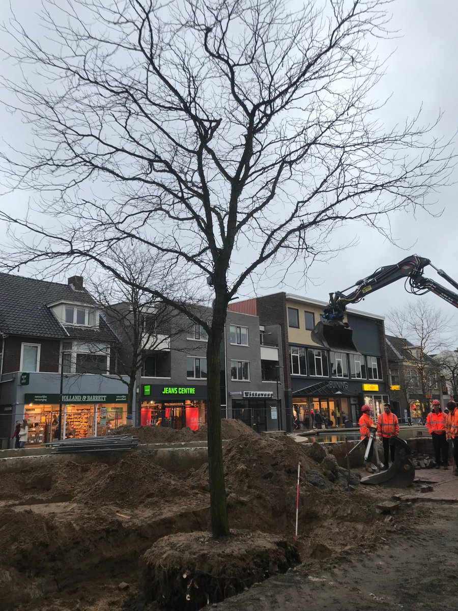 Herinrichting binnenstad #Hoogeveen, fase 2, dag 14: Met groot materieel zijn 2 bomen uitgegraven en opnieuw geplant langs de cascade. De kersenboom krijgt extra lucht en voeding om op krachten te komen en lekker door te groeien.