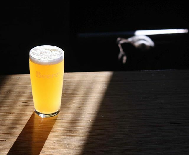 LEGIT SNACK - DOUBLE DRY HOPPED IPA - 6.5% ALC/VOL. 
Dry hopped two times with boat loads of el dorado, cashmere, and citra. Tasty notes of pineapples, creamy oats, fresh mangoes. This beer is in fact a legit snack. Available in draught only - yes to fil… ift.tt/37SaU2k