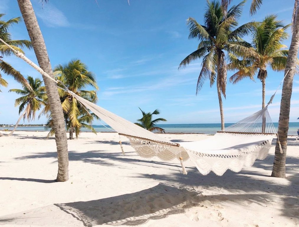 Ric_Kearbey's tweet photo. Naps, hammocks and palm trees are 3 of my favorite things in life! Tamara Alvarez ๐ @the_sunnyside_up captured my dreamy perfection in Islamorada, Florida here.
#KeyWest #floridakeys #cntraveler #islandlife #mysouthernliving #CLPicks #loveFL #dailyescapes https://t.co/CVyxDwALYU