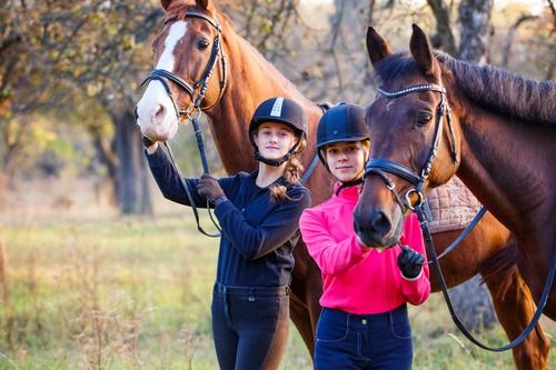 28 Things To Know Before Buying Equestrian Real Estate -- via @LivingnSanDiego #realestate #homebuying #equestrian bit.ly/2T3XZpN