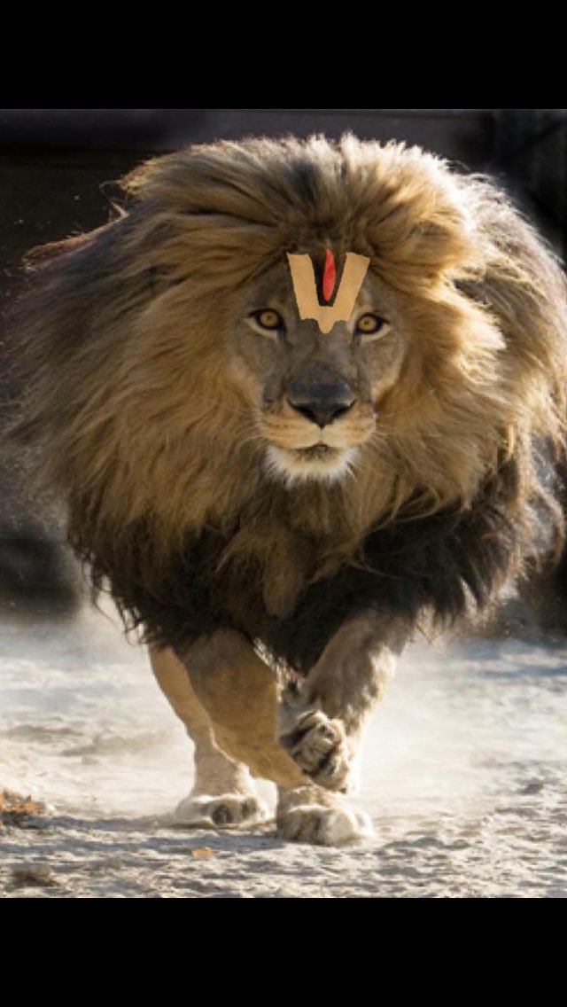 umeshonramp's tweet photo. #Proud_Hindu_Hindutwa Only picture is enough no more introduction ! Hindutva is a source of all wisdom 🙏 Ram Ram 🙏😊🇮🇳👍 https://t.co/T5pSJGbitw