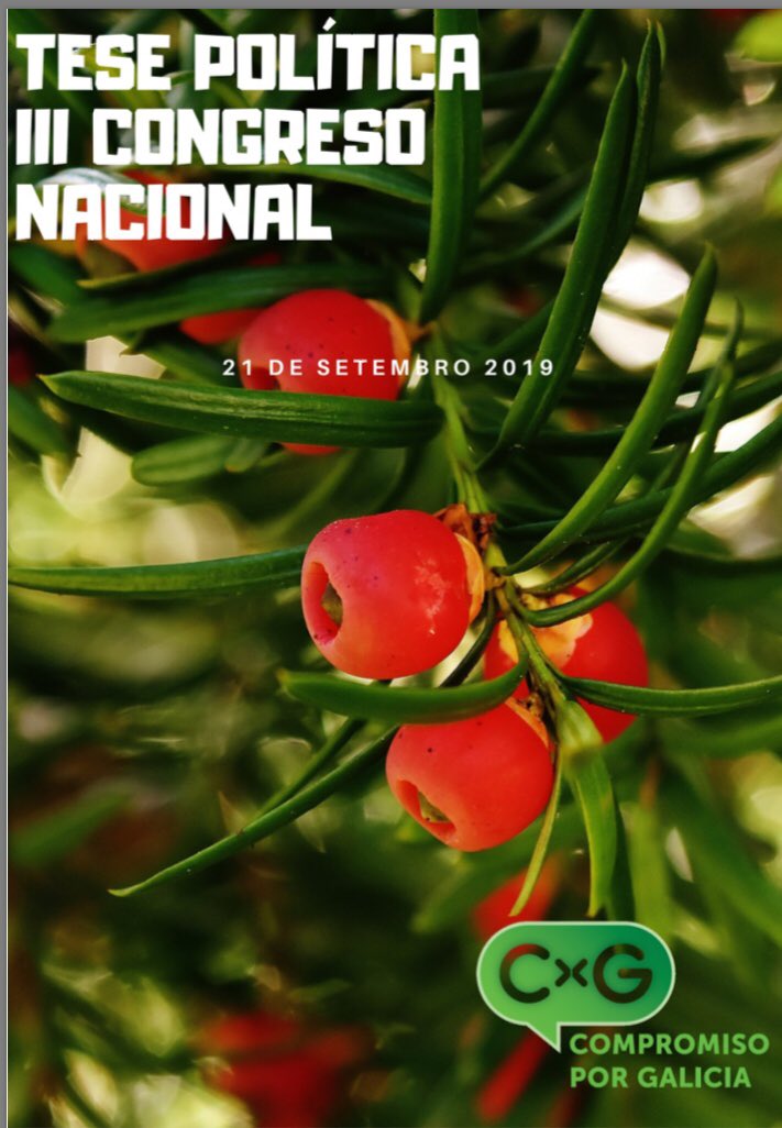 Compromiso_gal's tweet photo. Xa podes acceder a teses políticas do noso III Congreso Nacional #galeguismo #efectocompromiso #galegas2020
https://t.co/90b3iq7rEN https://t.co/TZqsNDb33V