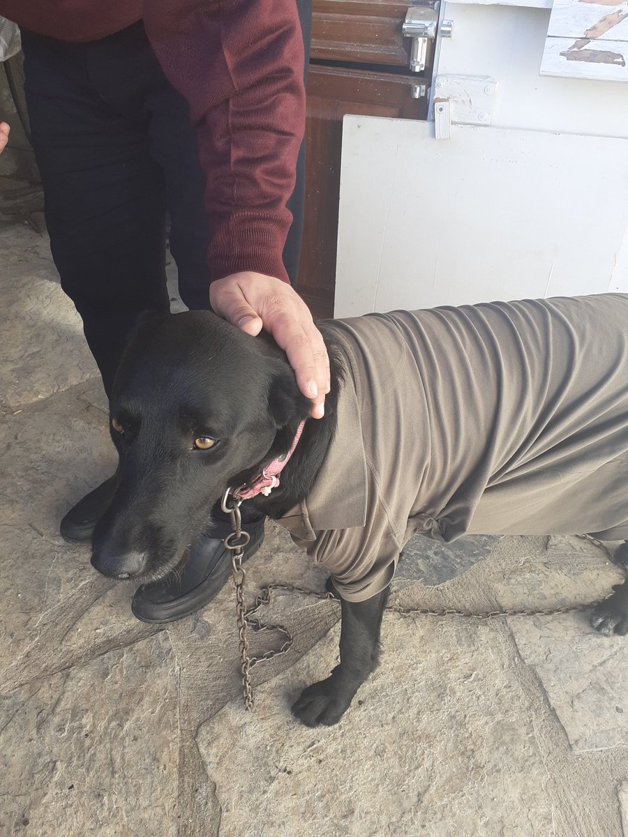 Soğuk bir bodrum akşamı