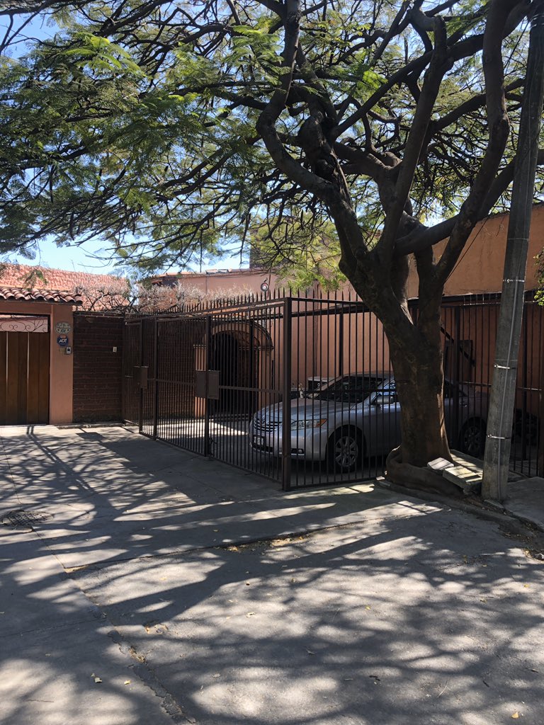 Morelos_Digital's tweet photo. Invasión de la vía Pública ... @CuernavacaGob esto no es un delito ? #Cuernavaca #Morelos rejas para expenderse y apropiarse de o calle ... #MuyMay https://t.co/ljmd948SMn