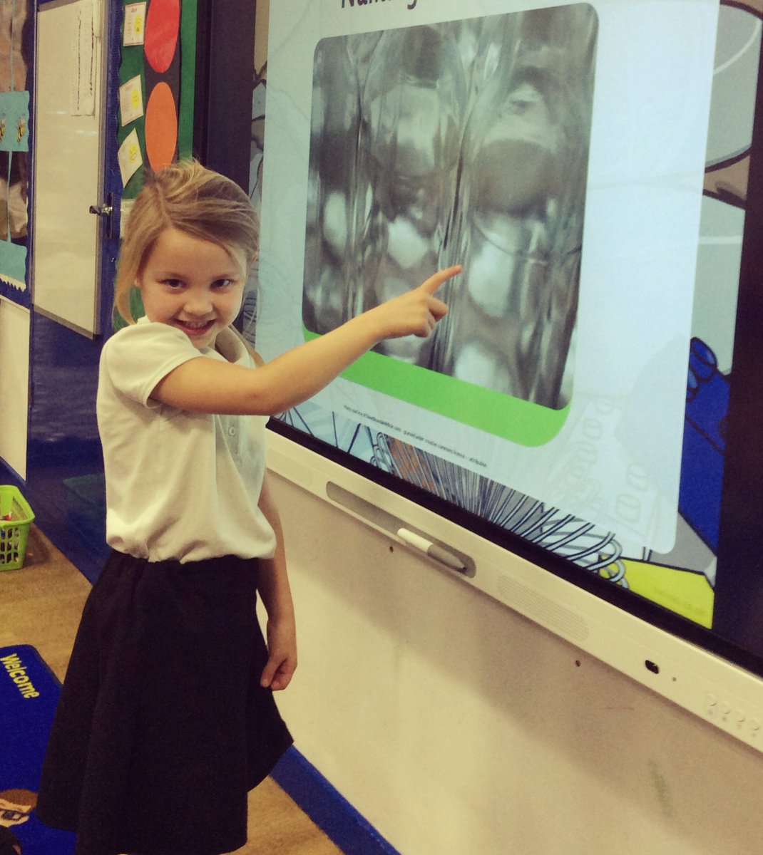epakangaroosy1's tweet photo. When we turned into Scientists this afternoon, Jasmine could teach the class all about glass and its properties. π @estcourtprimary #epascience #materials https://t.co/i3tfBjzrJs