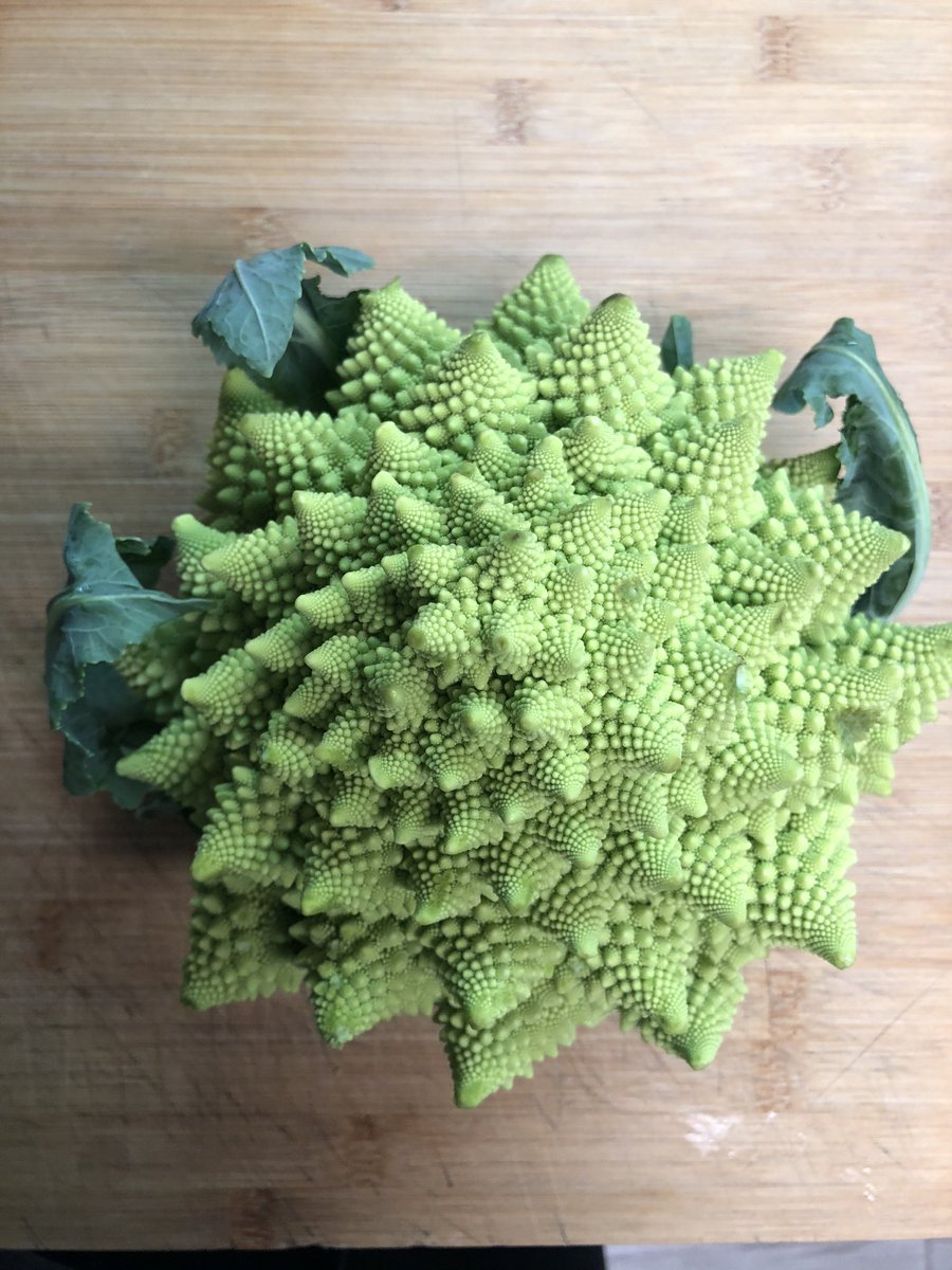 El arte de la naturaleza