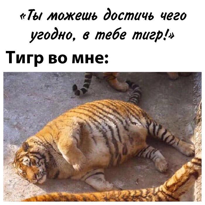 Intelligentka's tweet image. Ррррр..