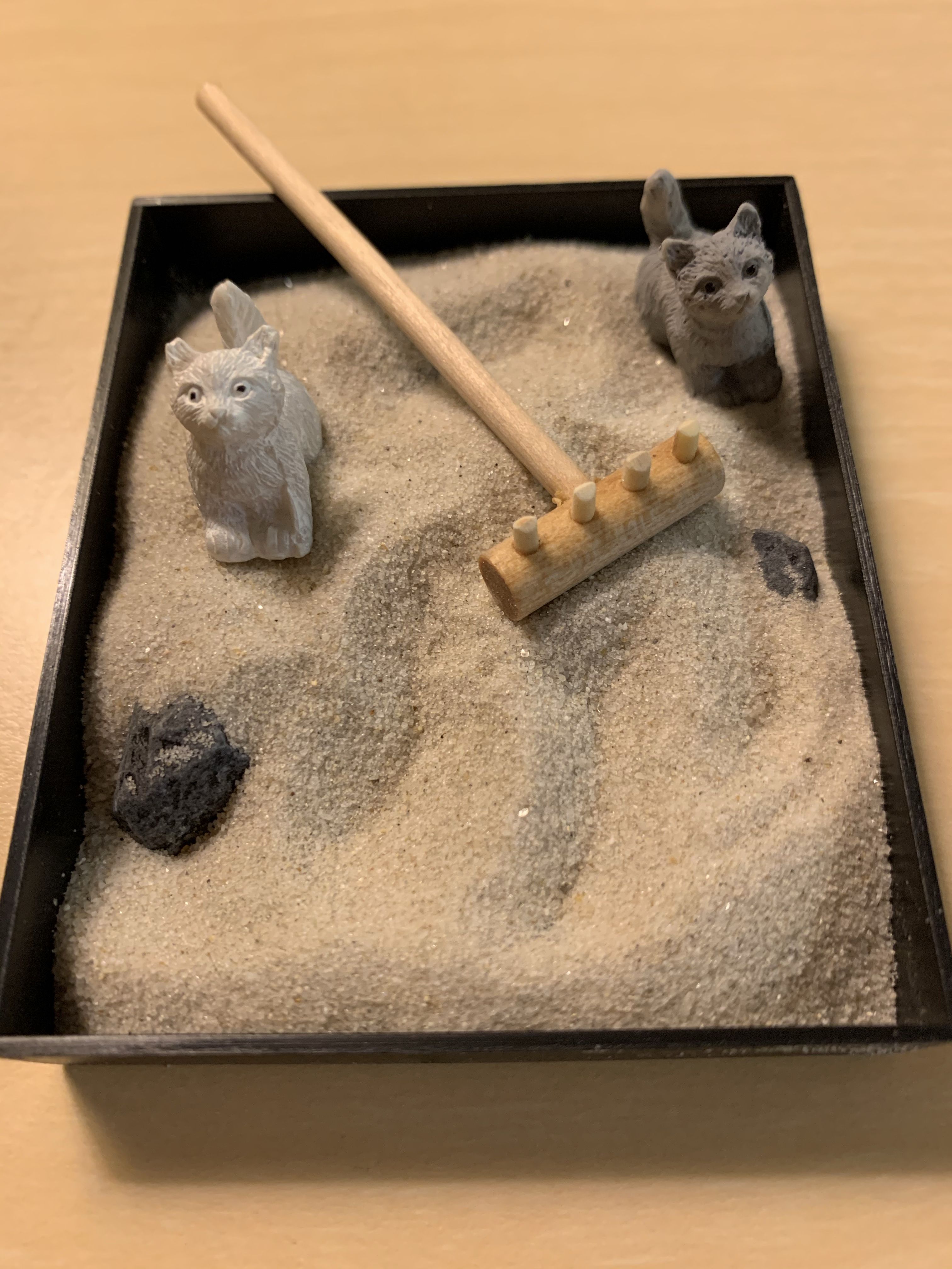 Zen Garden Litter Box Paper Source ubicaciondepersonas.cdmx.gob.mx